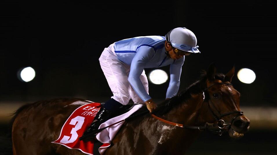 Matterhorn ridden by Mickael Barzalona wins the Al Maktoum Challenge